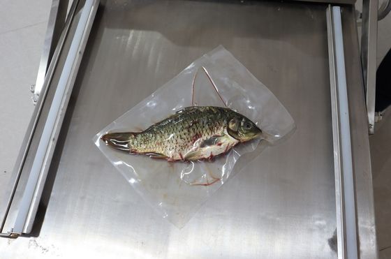 Ηλεκτρική μηχανή συσκευασίας με κενό διπλής αίθουσας για λαχανικά, ψωμί, ψάρια και θαλασσινά 120 κιλά