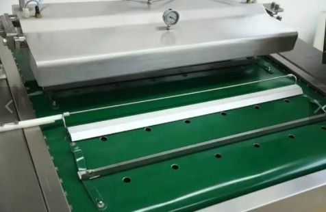 Ηλεκτρική 1000 διπλής λωρίδας αυτοματοποιημένη συσκευασία προϊόντων φασόλι και άγρια λαχανικά συνεχής συσκευασία κενού